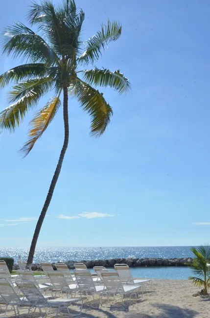 Ocean view with seating